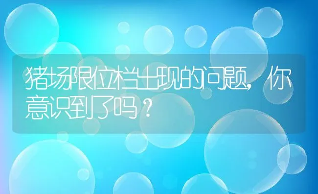 猪场限位栏出现的问题，你意识到了吗？ | 动物养殖饲料