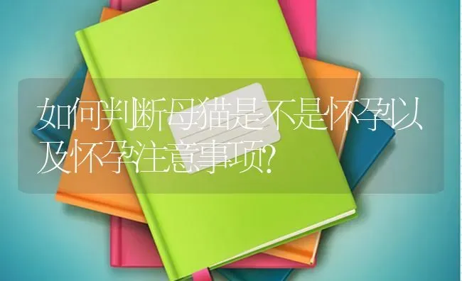 如何判断母猫是不是怀孕以及怀孕注意事项？ | 动物养殖问答