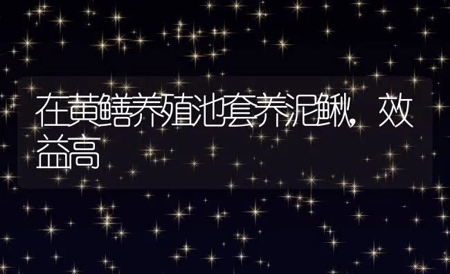 在黄鳝养殖池套养泥鳅，效益高 | 动物养殖饲料