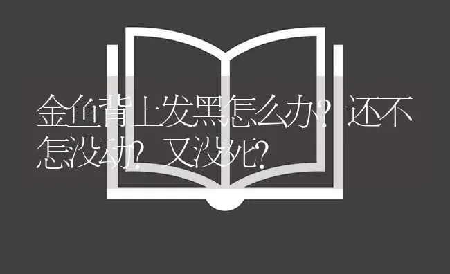 金鱼背上发黑怎么办？还不怎没动？又没死？ | 鱼类宠物饲养