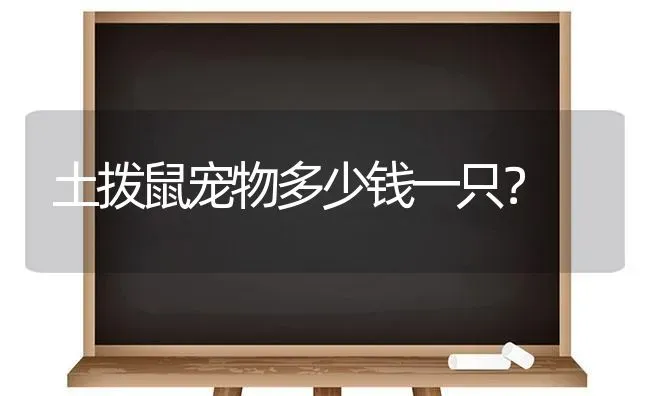 狗与狗之间为什么会打架？ | 动物养殖问答