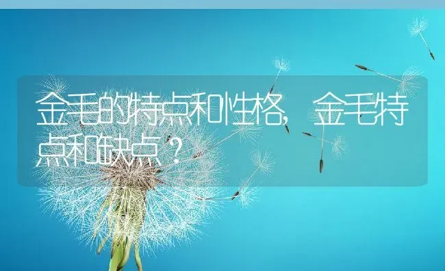 金毛的特点和性格,金毛特点和缺点？ | 宠物百科知识