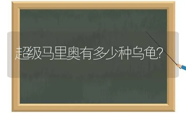 超级马里奥有多少种乌龟？ | 动物养殖问答