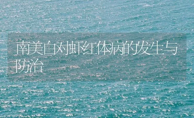 南美白对虾红体病的发生与防治 | 海水养殖技术