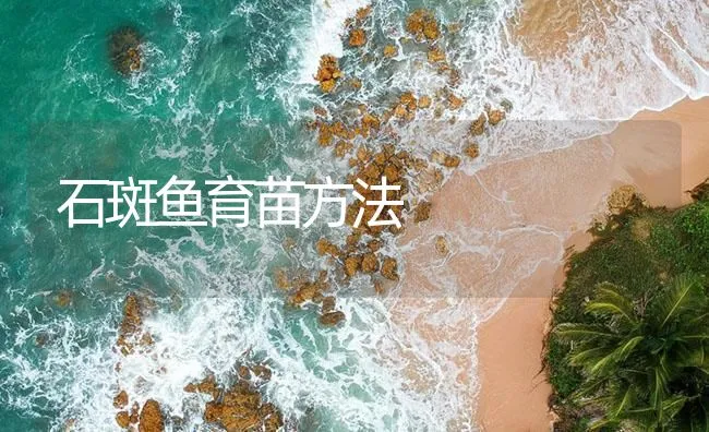 石斑鱼育苗方法 | 海水养殖技术