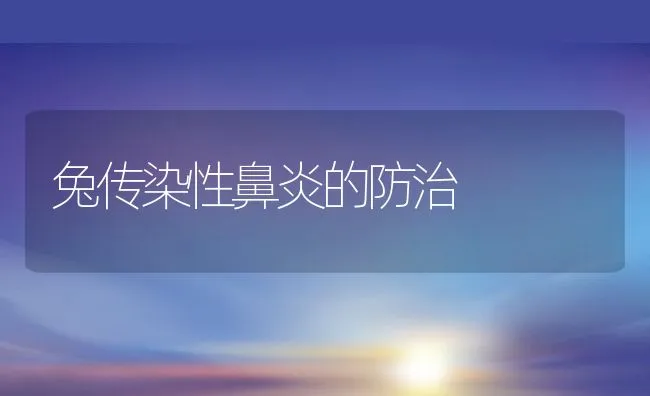 兔传染性鼻炎的防治 | 水产养殖知识