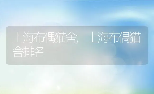 狗狗能吃什么蔬菜,三个月狗狗能吃什么蔬菜 | 宠物百科知识