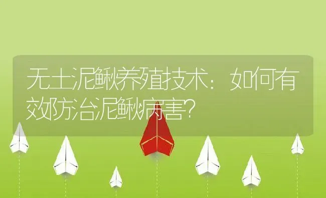 无土泥鳅养殖技术：如何有效防治泥鳅病害？ | 动物养殖百科