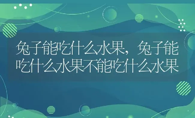 兔子能吃什么水果,兔子能吃什么水果不能吃什么水果 | 宠物百科知识