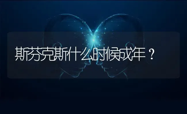 斯芬克斯什么时候成年？ | 动物养殖问答