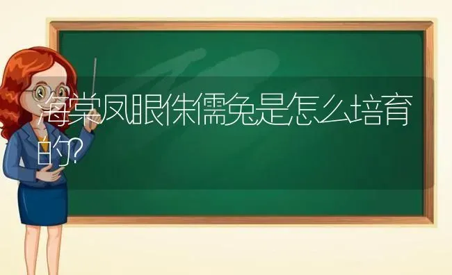 海棠凤眼侏儒兔是怎么培育的？ | 动物养殖问答