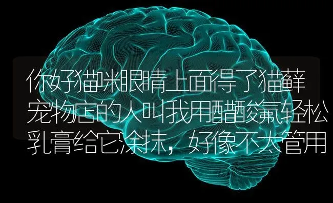 你好猫咪眼睛上面得了猫藓宠物店的人叫我用醋酸氟轻松乳膏给它涂抹，好像不太管用？ | 动物养殖问答