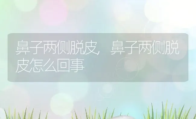 鼻子两侧脱皮,鼻子两侧脱皮怎么回事 | 宠物百科知识