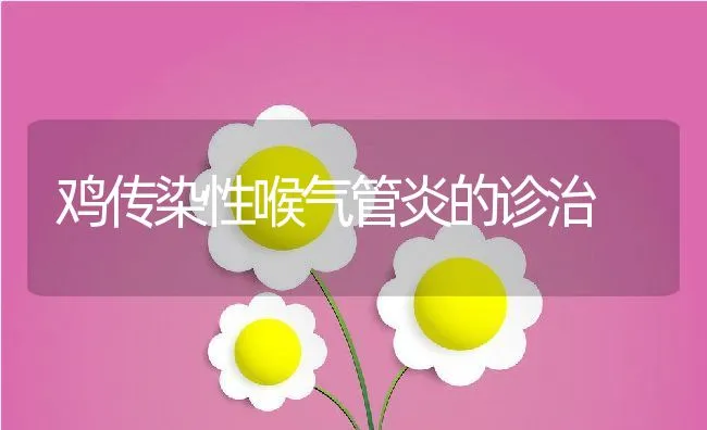 鸡传染性喉气管炎的诊治 | 动物养殖学堂