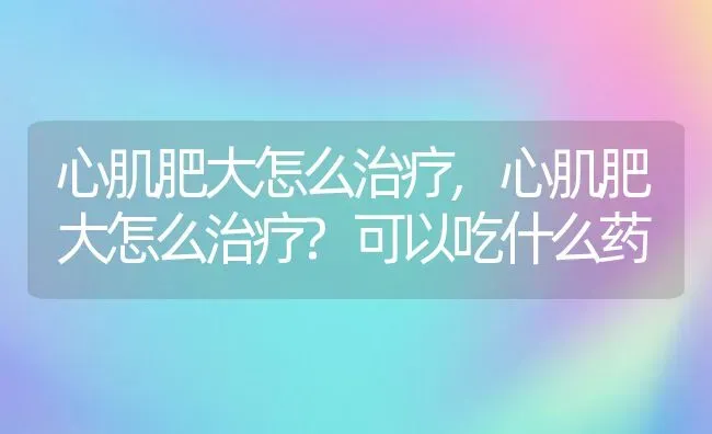 心肌肥大怎么治疗,心肌肥大怎么治疗?可以吃什么药 | 宠物百科知识