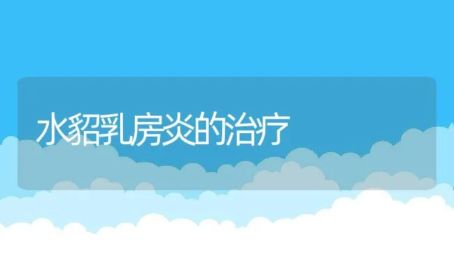 新玉米作为饲料原料存在的问题及解决方法 | 动物养殖学堂