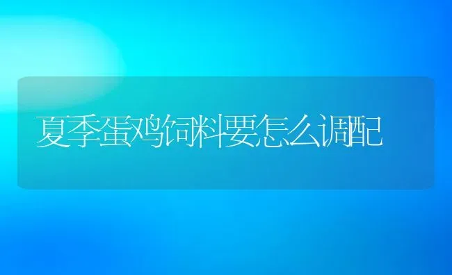 夏季蛋鸡饲料要怎么调配 | 动物养殖百科