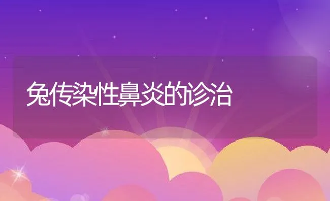 兔传染性鼻炎的诊治 | 动物养殖学堂