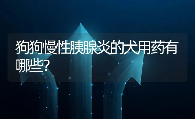 狗狗慢性胰腺炎的犬用药有哪些？ | 动物养殖问答