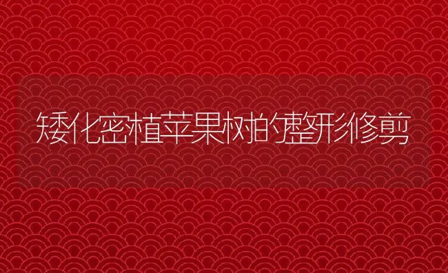 5月福建水产养殖病害情况及防治建议 | 海水养殖技术