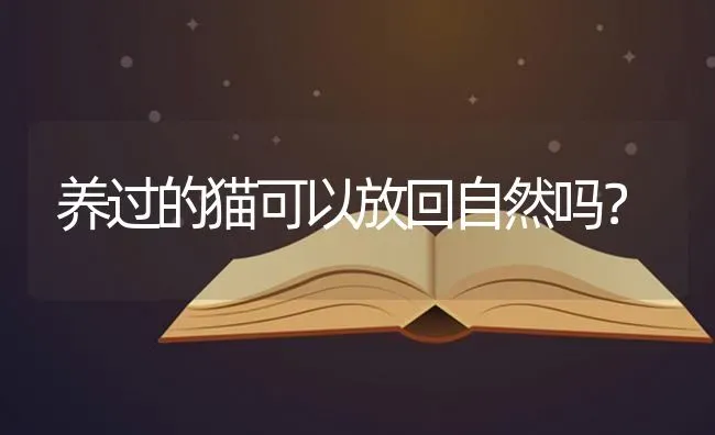 养过的猫可以放回自然吗？ | 动物养殖问答