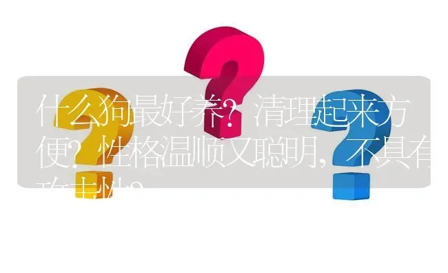 什么狗最好养？清理起来方便？性格温顺又聪明，不具有攻击性？ | 动物养殖问答