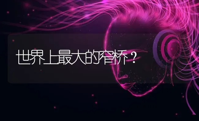 世界上最大的窄桥？ | 动物养殖问答