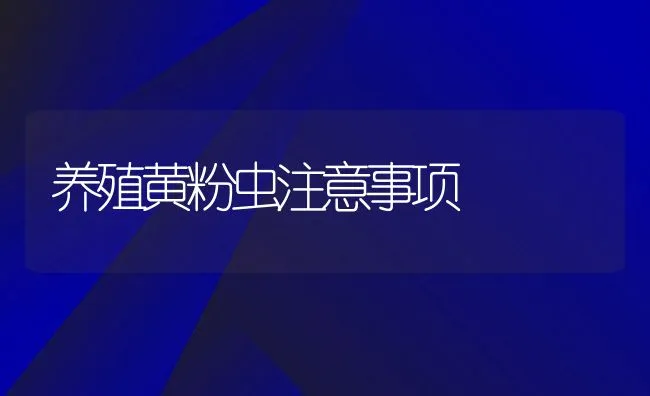 养殖黄粉虫注意事项 | 水产养殖知识