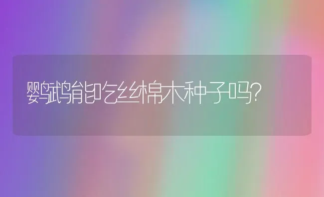 鹦鹉能吃丝棉木种子吗？ | 动物养殖问答