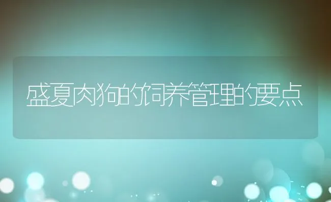 盛夏肉狗的饲养管理的要点 | 水产养殖知识