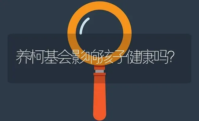 养柯基会影响孩子健康吗？ | 动物养殖问答