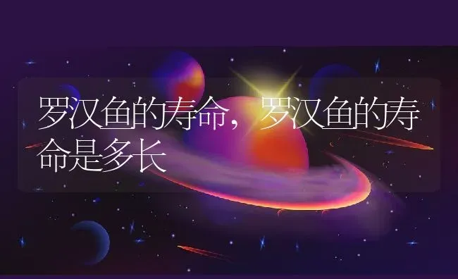 罗汉鱼的寿命,罗汉鱼的寿命是多长 | 宠物百科知识