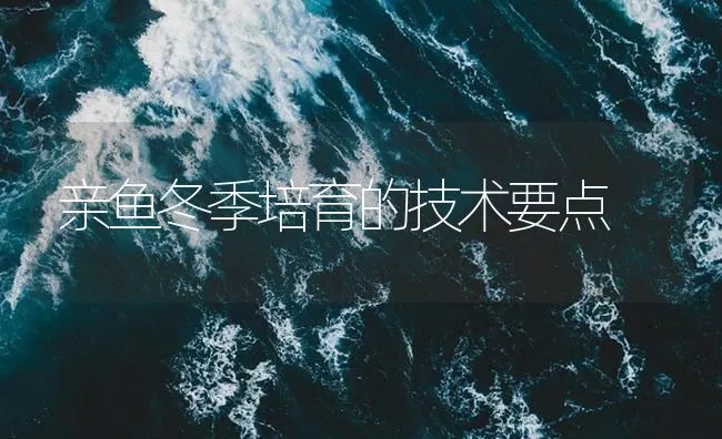 亲鱼冬季培育的技术要点 | 海水养殖技术