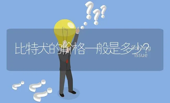 比特犬的价格一般是多少？ | 动物养殖问答