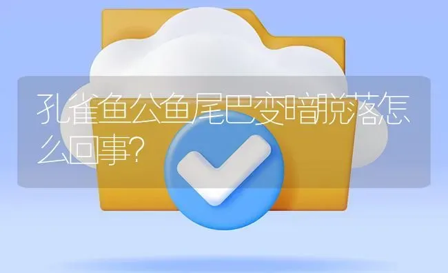 孔雀鱼公鱼尾巴变暗脱落怎么回事？ | 鱼类宠物饲养