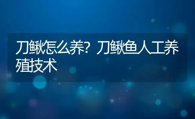 刀鳅怎么养？刀鳅鱼人工养殖技术 | 动物养殖百科