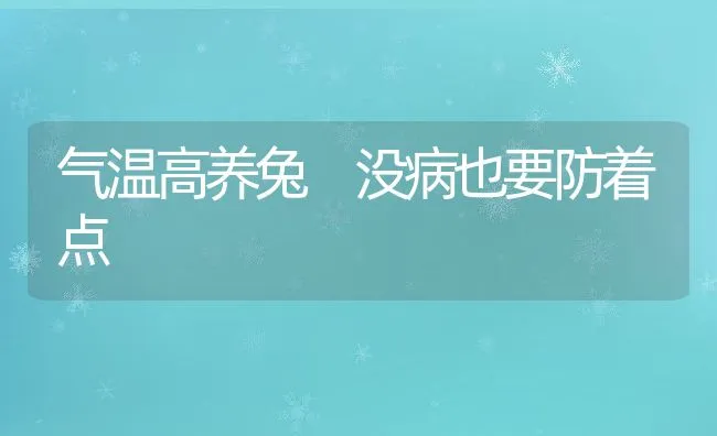 气温高养兔 没病也要防着点 | 动物养殖学堂