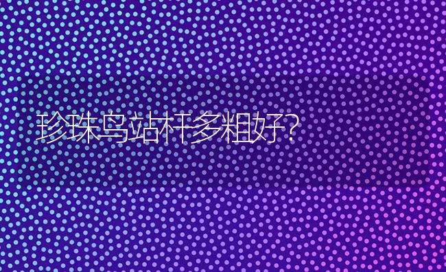 珍珠鸟站杆多粗好？ | 动物养殖问答