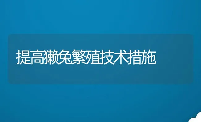 提高獭兔繁殖技术措施 | 动物养殖饲料