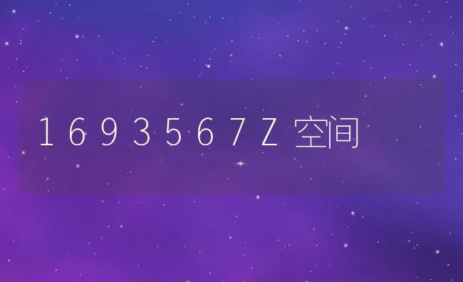 1693567Z空间 | 宠物百科知识