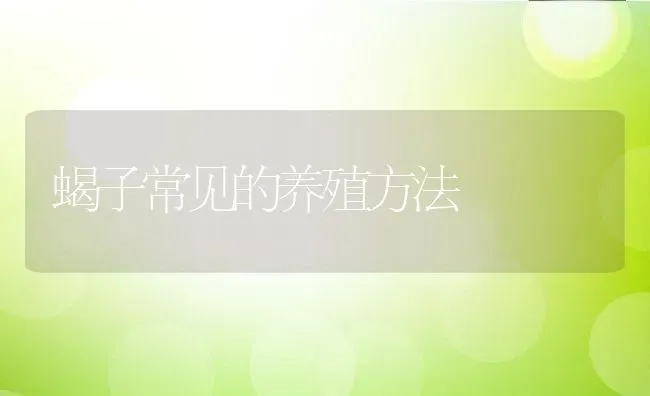 蝎子常见的养殖方法 | 动物养殖百科