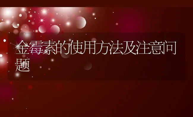 墨西哥湾扇眉贝人工育苗及中间培育技术 | 海水养殖技术