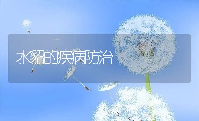 水貂的疾病防治 | 动物养殖学堂