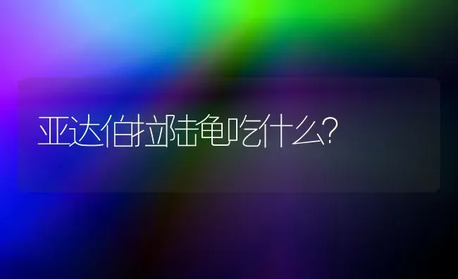 亚达伯拉陆龟吃什么？ | 动物养殖问答