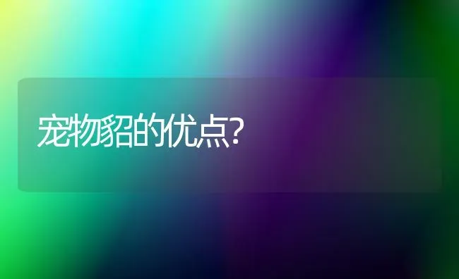 宠物貂的优点？ | 动物养殖问答