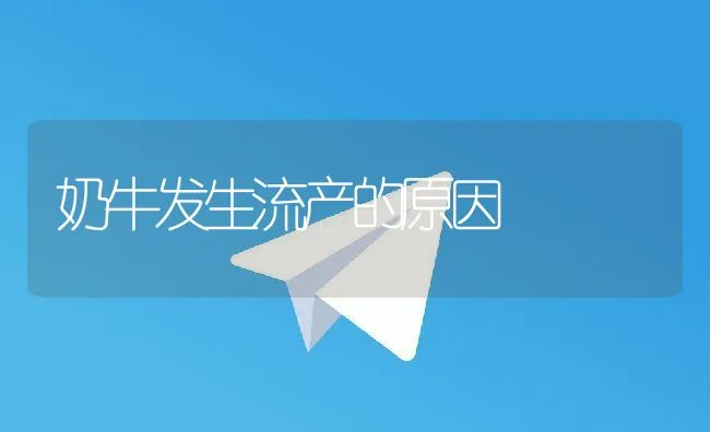 奶牛发生流产的原因 | 动物养殖学堂