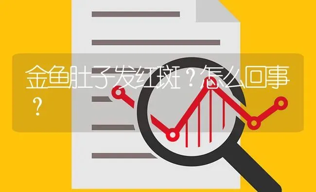 金鱼肚子发红斑？怎么回事？ | 鱼类宠物饲养