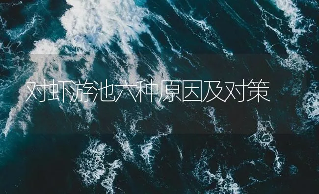 对虾游池六种原因及对策 | 海水养殖技术