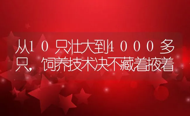 从10只壮大到4000多只，饲养技术决不藏着掖着 | 水产养殖知识