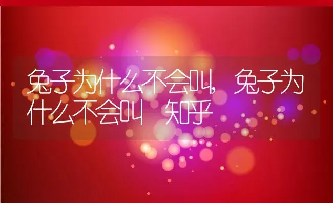 兔子为什么不会叫,兔子为什么不会叫 知乎 | 宠物百科知识